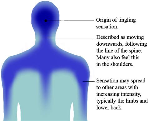 More than a feeling: Autonomous sensory meridian response。